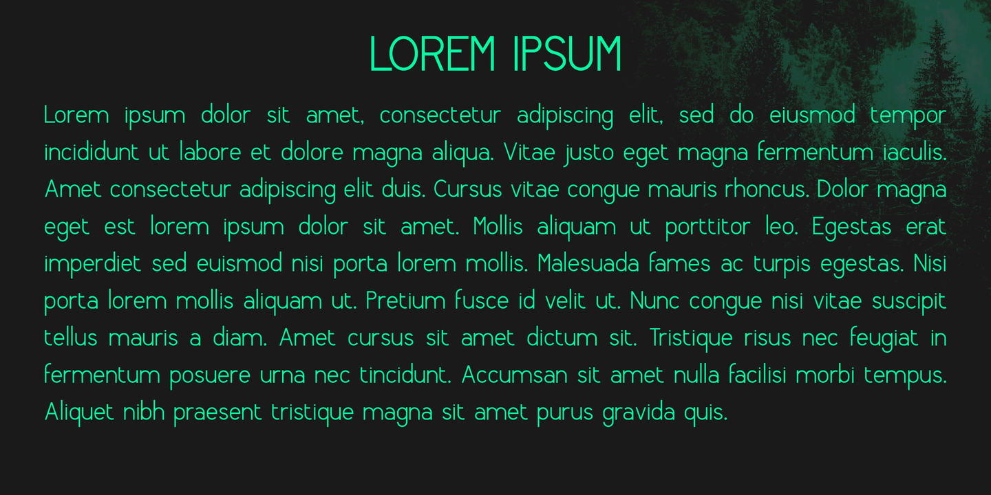 Пример шрифта Borka Italic
